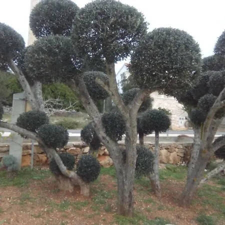 アパート Sego ヴェラ・ルカ